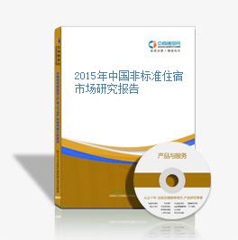 2015年中国非标准住宿市场研究报告