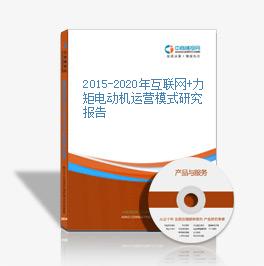 2015-2020年互聯網+力矩電動機運營模式研究報告