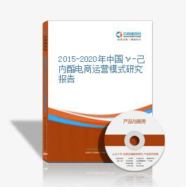 2015-2020年中國γ-己內酯電商運營模式研究報告