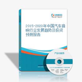 2015-2020年中国汽车音响行业发展趋势及投资预测报告