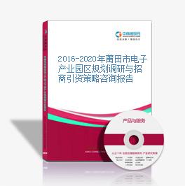 2016-2020年莆田市电子产业园区规划调研与招商引资策略咨询报告