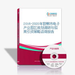 2016-2020年邯郸市电子产业园区规划调研与招商引资策略咨询报告
