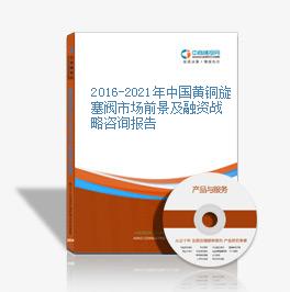 2016-2021年中國黃銅旋塞閥市場前景及融資戰略咨詢報告