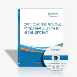 2016-2020年湖南省办公楼市场前景调查及投融资战略研究报告