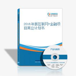 2016年版互联网+金融项目商业计划书