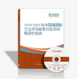 2016-2021年中國偏磷酸行業市場前景與投資戰略研究報告