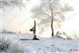 吉林女孩-30℃挑战冰雪瑜伽 与冰天雪地浑然一体（图）