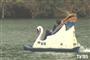 两中年女子湖中踩天鹅船“累瘫” 打119求救