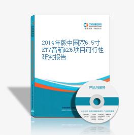 2014年版中国双6.5寸KTV音箱K26项目可行性研究报告