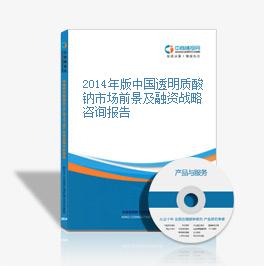 2014年版中国透明质酸钠市场前景及融资战略咨询报告
