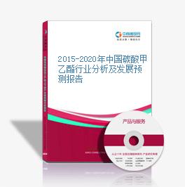 2015-2020年中国碳酸甲乙酯行业分析及发展预测报告