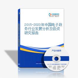 2015-2020年中國電子政務行業發展分析及投資研究報告
