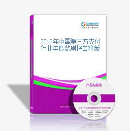 2013年中國第三方支付行業年度監測報告簡版