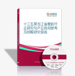 十三五黑龍江省橡膠行業研究與產業規劃參考及戰略研究報告