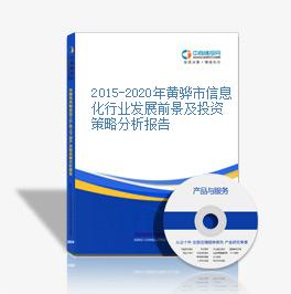 2015-2020年黄骅市信息化行业发展前景及投资策略分析报告