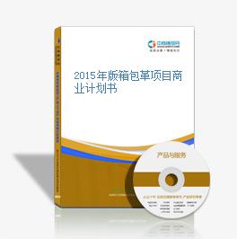 2015年版箱包革项目商业计划书
