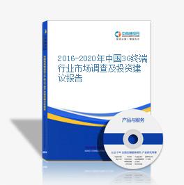 2016-2020年中國3G終端行業市場調查及投資建議報告