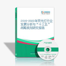 2016-2020年荧光灯行业发展分析与“十三五”战略规划研究报告