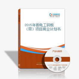 2015年版電工鋼板（帶）項目商業計劃書