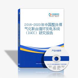 2016-2020年中国整体煤气化联合循环发电系统（IGCC）研究报告