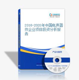 2016-2020年中國電聲器件企業項目投資分析報告