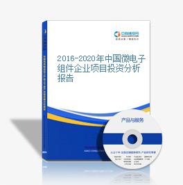 2016-2020年中国微电子组件企业项目投资分析报告