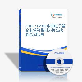 2016-2020年中国电子管企业投资指引及机会战略咨询报告
