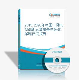 2015-2020年中国工具电商战略运营前景与投资策略咨询报告