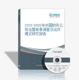 2015-2020年中國財務公司運營前景調查及運作模式研究報告