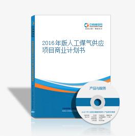 2016年版人工煤气供应项目商业计划书