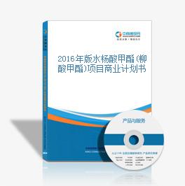 2016年版水杨酸甲酯(柳酸甲酯)项目商业计划书