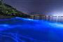 澳大利亚现蓝色荧光海滩 奇幻唯美犹如置身《阿凡达》世界