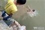 岳阳县一男孩溺亡 同伴只顾拍摄眼睁睁看着男孩淹死